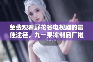 免费观看野花谷电视剧的最佳途径，九一果冻制品厂推荐！