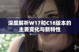 深度解析W17和C18版本的主要变化与新特性