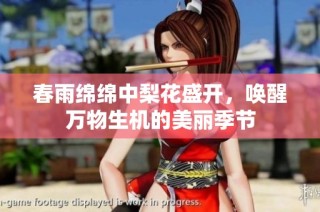 春雨绵绵中梨花盛开，唤醒万物生机的美丽季节