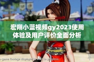 宏翔小蓝视频gy2023使用体验及用户评价全面分析