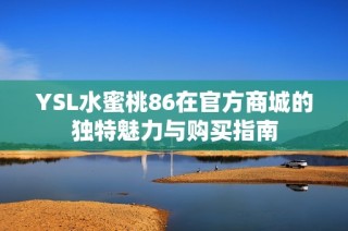 YSL水蜜桃86在官方商城的独特魅力与购买指南