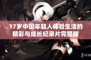 17岁中国年轻人体验生活的精彩与成长纪录片完整版