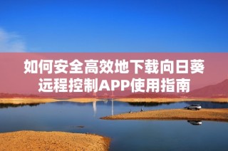 如何安全高效地下载向日葵远程控制APP使用指南