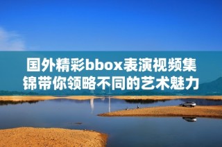 国外精彩bbox表演视频集锦带你领略不同的艺术魅力