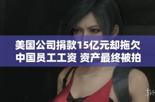 美国公司捐款15亿元却拖欠中国员工工资 资产最终被拍卖