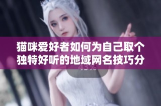 猫咪爱好者如何为自己取个独特好听的地域网名技巧分享
