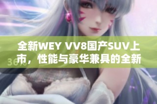 全新WEY VV8国产SUV上市，性能与豪华兼具的全新体验