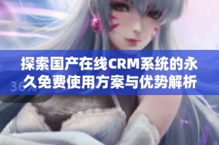 探索国产在线CRM系统的永久免费使用方案与优势解析