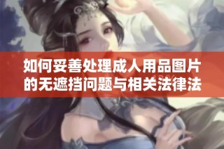 如何妥善处理成人用品图片的无遮挡问题与相关法律法规解析