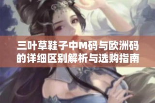 三叶草鞋子中M码与欧洲码的详细区别解析与选购指南