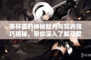茶杯狐的神秘魅力与饲养技巧揭秘，带你深入了解可爱的茶杯狐世界