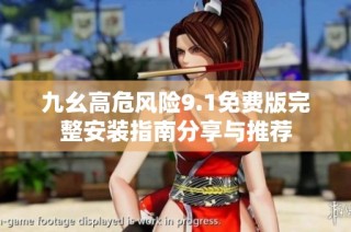 九幺高危风险9.1免费版完整安装指南分享与推荐