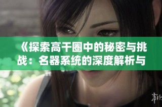 《探索高干圈中的秘密与挑战：名器系统的深度解析与反思》