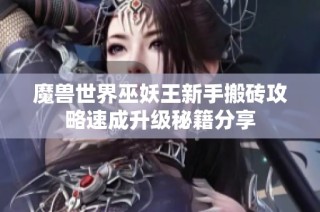 魔兽世界巫妖王新手搬砖攻略速成升级秘籍分享