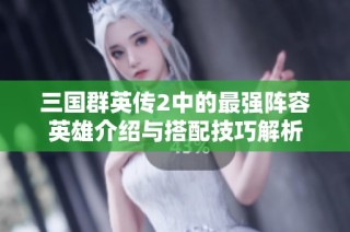 三国群英传2中的最强阵容英雄介绍与搭配技巧解析