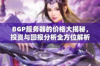 BGP服务器的价格大揭秘，投资与回报分析全方位解析