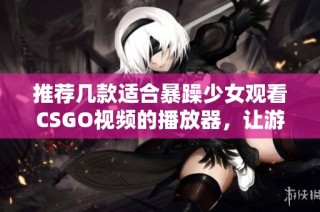 推荐几款适合暴躁少女观看CSGO视频的播放器，让游戏娱乐更畅快