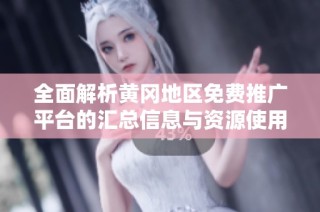 全面解析黄冈地区免费推广平台的汇总信息与资源使用建议
