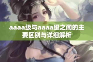 aaaa级与aaaa级之间的主要区别与详细解析
