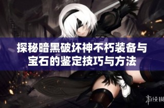探秘暗黑破坏神不朽装备与宝石的鉴定技巧与方法