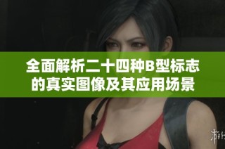 全面解析二十四种B型标志的真实图像及其应用场景