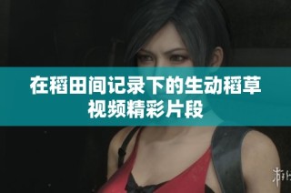 在稻田间记录下的生动稻草视频精彩片段