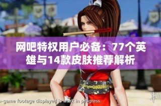 网吧特权用户必备：77个英雄与14款皮肤推荐解析