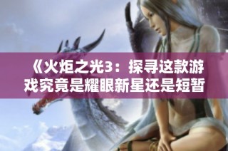 《火炬之光3：探寻这款游戏究竟是耀眼新星还是短暂流星的魅力》