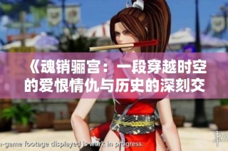 《魂销骊宫：一段穿越时空的爱恨情仇与历史的深刻交织》