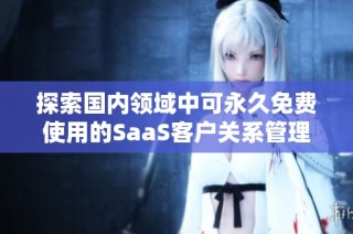 探索国内领域中可永久免费使用的SaaS客户关系管理工具