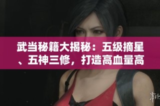 武当秘籍大揭秘：五级摘星、五神三修，打造高血量高命中角色