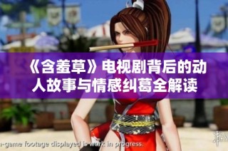 《含羞草》电视剧背后的动人故事与情感纠葛全解读