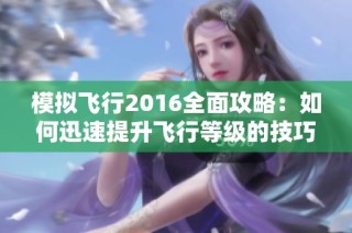 模拟飞行2016全面攻略：如何迅速提升飞行等级的技巧与心得分享