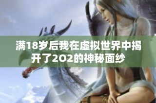 满18岁后我在虚拟世界中揭开了2O2的神秘面纱