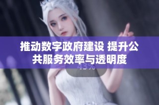 推动数字政府建设 提升公共服务效率与透明度