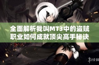 全面解析我叫MT3中的盗贼职业如何成就顶尖高手秘诀