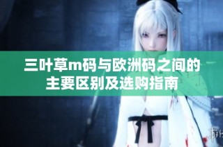 三叶草m码与欧洲码之间的主要区别及选购指南