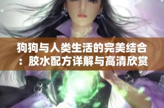 狗狗与人类生活的完美结合：胶水配方详解与高清欣赏