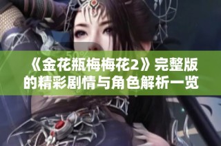 《金花瓶梅梅花2》完整版的精彩剧情与角色解析一览