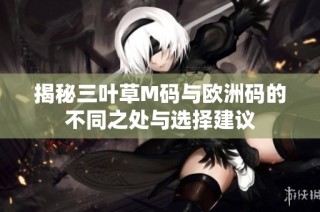 揭秘三叶草M码与欧洲码的不同之处与选择建议