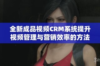全新成品视频CRM系统提升视频管理与营销效率的方法分享
