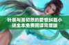 叶辰与萧初然的爱恨纠葛小说全本免费阅读完整版