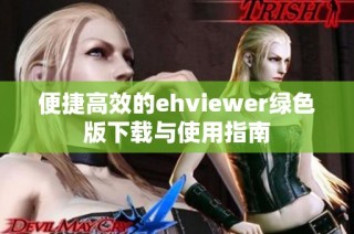 便捷高效的ehviewer绿色版下载与使用指南