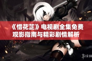 《惜花芷》电视剧全集免费观影指南与精彩剧情解析