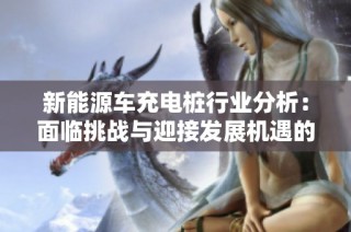 新能源车充电桩行业分析：面临挑战与迎接发展机遇的双重考验