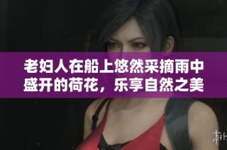 老妇人在船上悠然采摘雨中盛开的荷花，乐享自然之美
