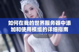 如何在我的世界服务器中添加和使用模组的详细指南