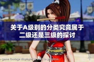 关于A级别的分类究竟属于二级还是三级的探讨