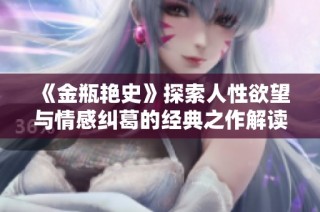 《金瓶艳史》探索人性欲望与情感纠葛的经典之作解读与分析