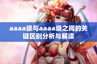 aaaa级与aaaa级之间的关键区别分析与解读